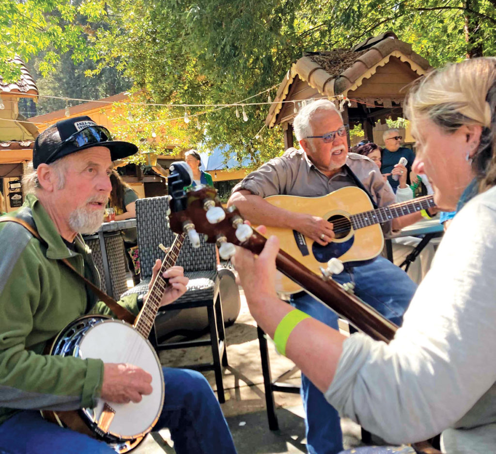 Image for display with article titled 24th Brookdale Bluegrass Festival Delivers a Jam-Tastic Weekend