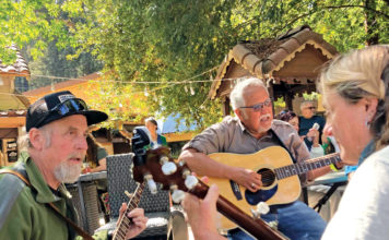 Brookdale Bluegrass and American Roots Festival