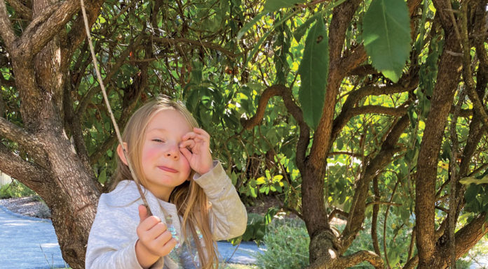 The Mountain Gardener | Arbor Day in California Tree