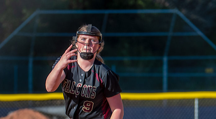 Falcons ready to make noise in the SCCAL | High school softball