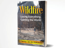 Strictly Business | Igniting Connections: The Resurgence of Networking in the SLV Business Community Business Wildfire book