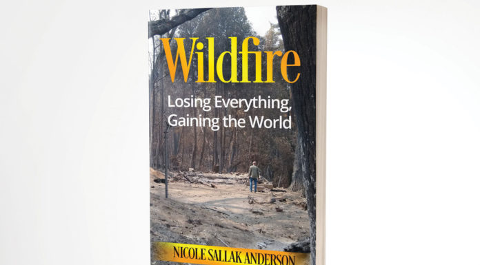 Strictly Business | Igniting Connections: The Resurgence of Networking in the SLV Business Community Business Wildfire book