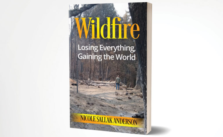 Business Wildfire book