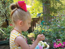 The Mountain Gardener | Things to Do on Earth Day 2024 Garden