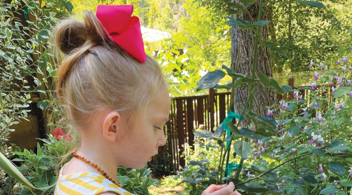 The Mountain Gardener | Things to Do on Earth Day 2024 Garden