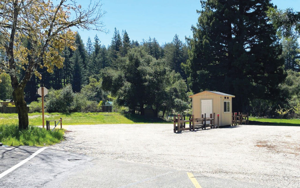 Image for display with article titled Big Basin Redwoods State Park Launches Summer Shuttle Service for Weekends, Holidays
