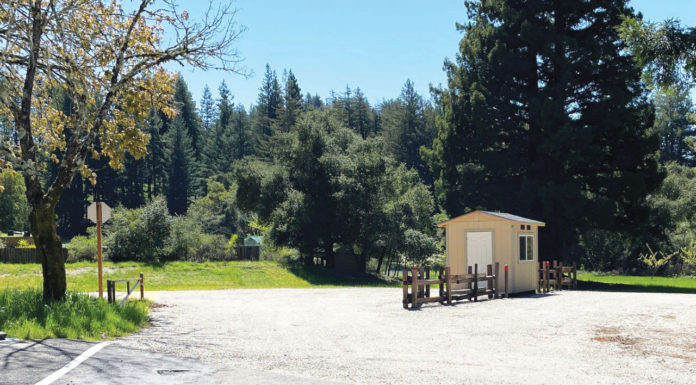 Big Basin Redwoods State Park launches summer shuttle service for weekends, holidays Big Basin Redwoods State Park
