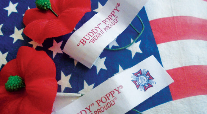 Plain Talk About Memorial Day | Where Have All the Buddy’s Gone? Memorial Day poppy