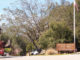 Scotts Valley City Hall