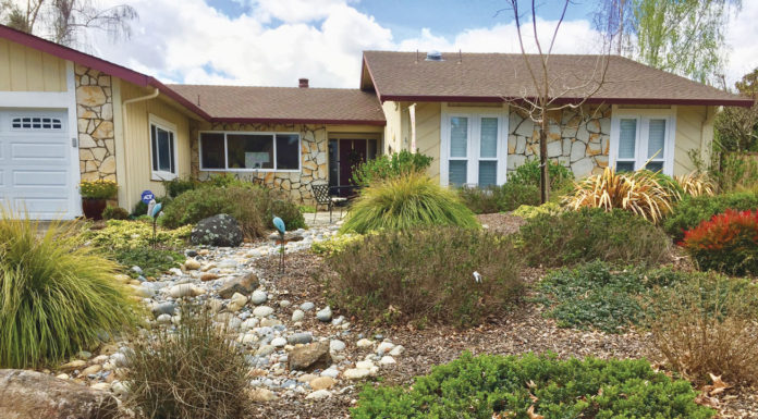 The Mountain Gardener | What’s Sheet Mulching Mulch