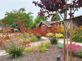 The Mountain Gardener | Why Mulch Mulch