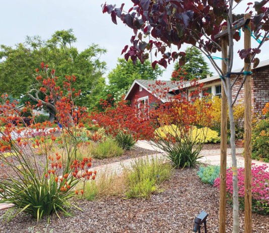 The Mountain Gardener | Why Mulch Mulch