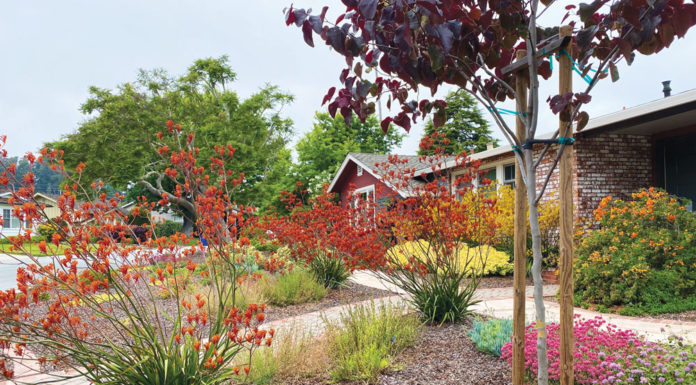 The Mountain Gardener | Why Mulch Mulch