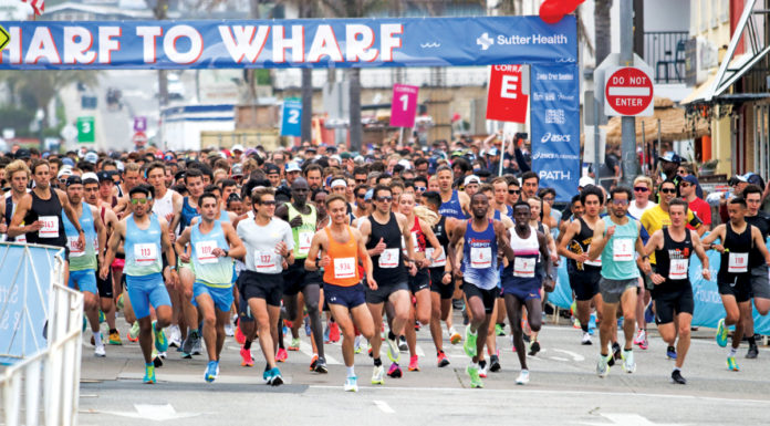 Wharf to Wharf returns to full capacity with 16k participantsÂ