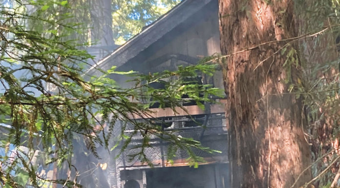 Fire claims Brookside Drive resident’s home, cat