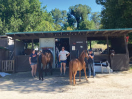‘Wine and Whinnies’ fundraiser set for this weekend