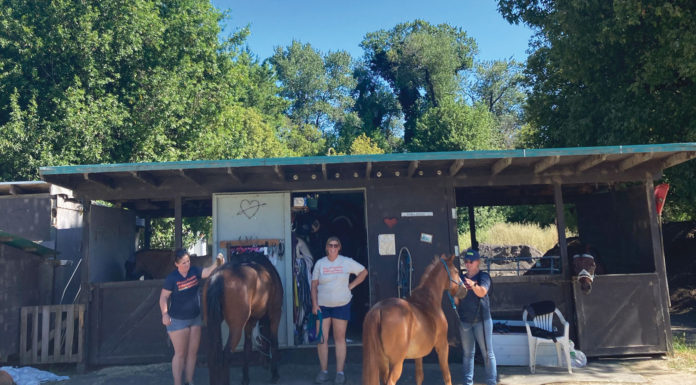 ‘Wine and Whinnies’ fundraiser set for this weekend