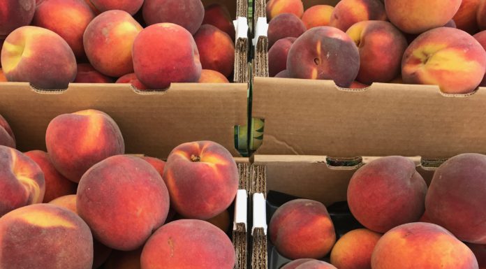 Scotts Valley Farmers’ Market welcomes Summer Sweets this Saturday