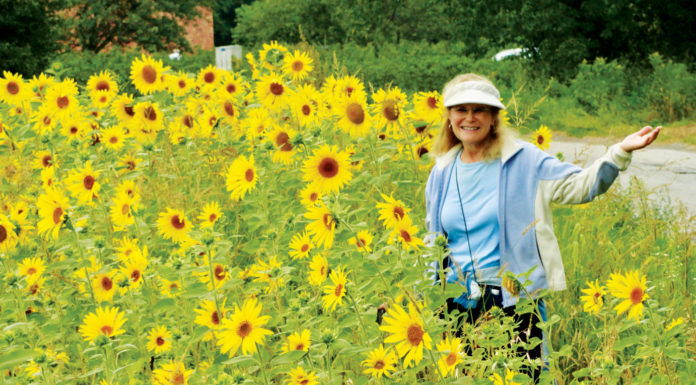 The Mountain Gardener | The Gardens of Poland