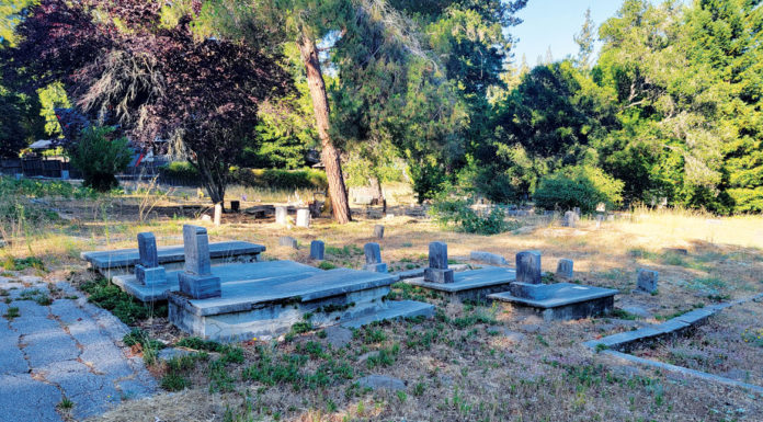 Finance | Life Insurance: Who Needs It? Finance Felton Cemetery