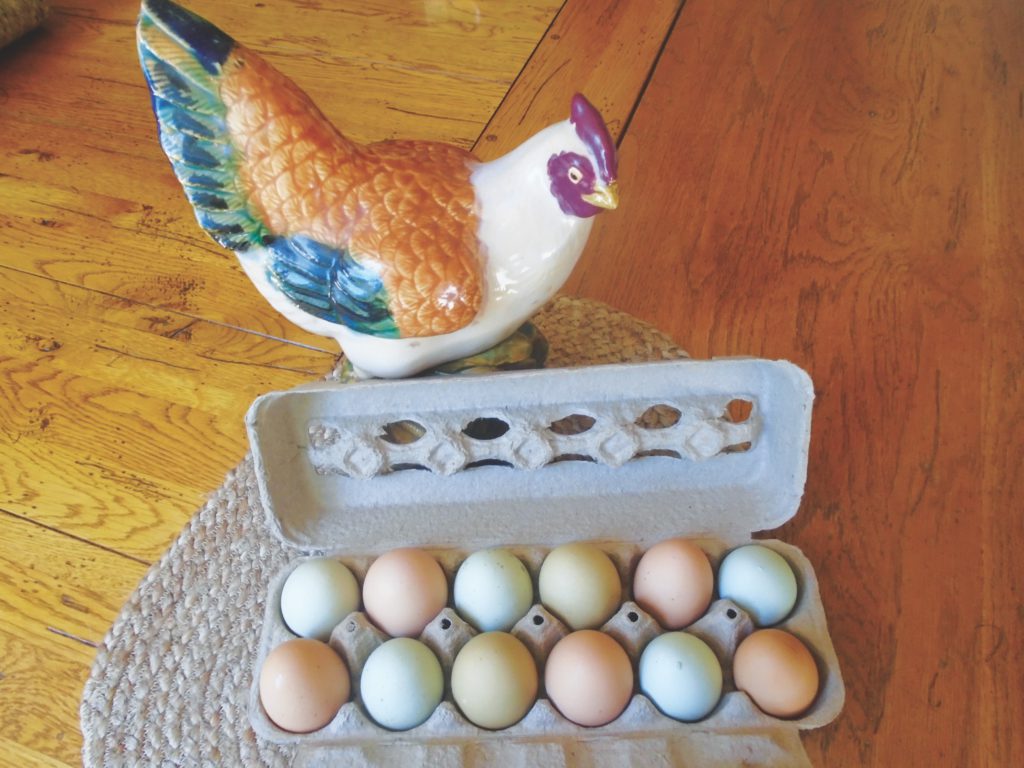 Image for display with article titled Plain Talk About Food: All About Eggs