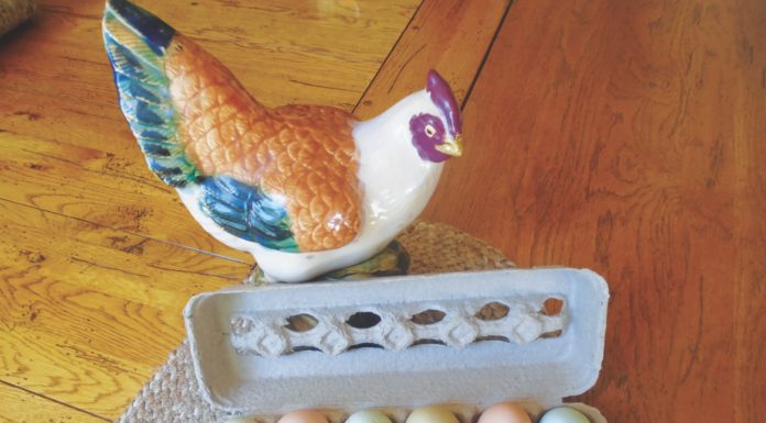 Plain Talk About Food: All About Eggs eggs