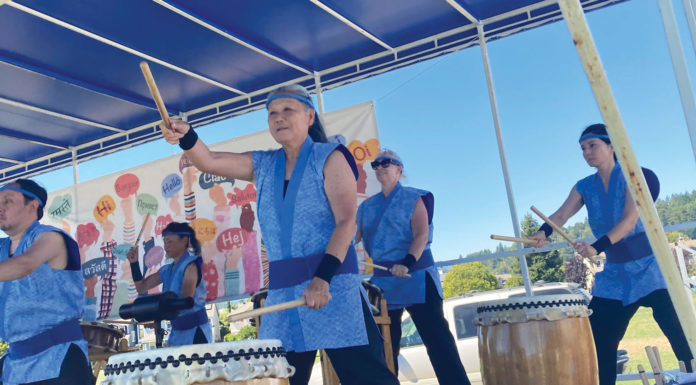 Scotts Valley Multicultural Fair provides glimpse into far-flung locales