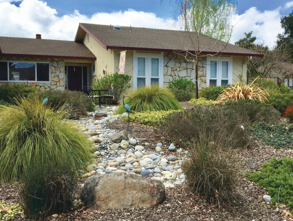 Image for display with article titled The Mountain Gardener | All About Dry Creek Beds