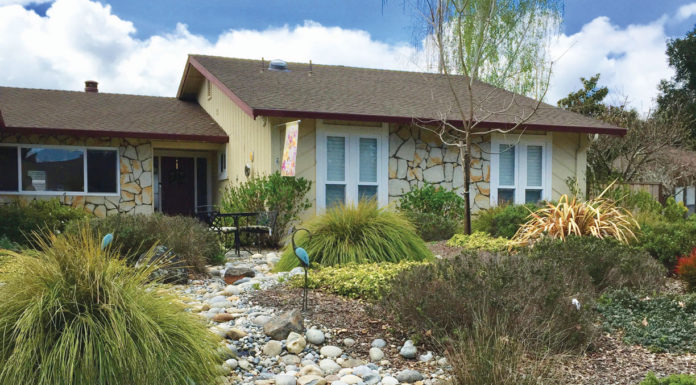 The Mountain Gardener | All About Dry Creek Beds