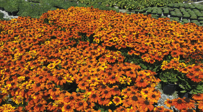 The Mountain Gardener | Garden Inspiration Overload