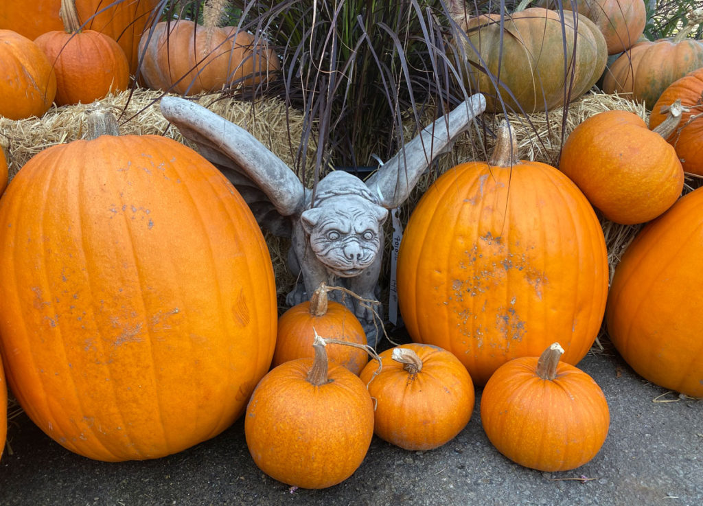 Image for display with article titled The Mountain Gardener | Fun Garden Decor for Halloween This Season