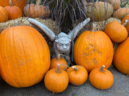 The Mountain Gardener | Fun Garden Decor for Halloween This Season