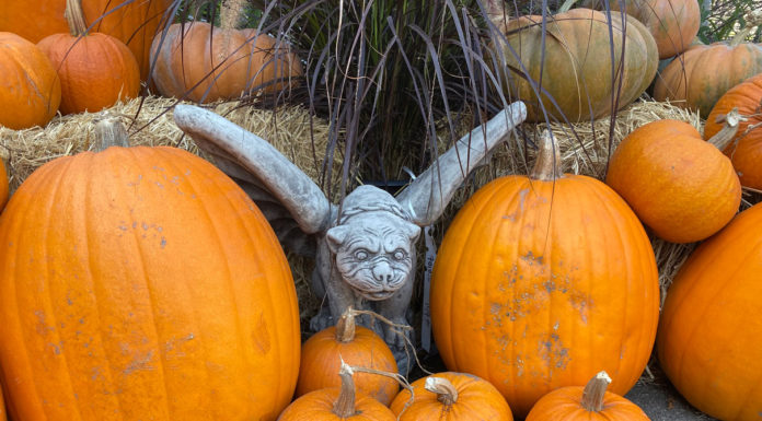 The Mountain Gardener | Fun Garden Decor for Halloween This Season