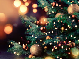 Ben Lomond’s Tree Lighting Party to spark holiday cheer