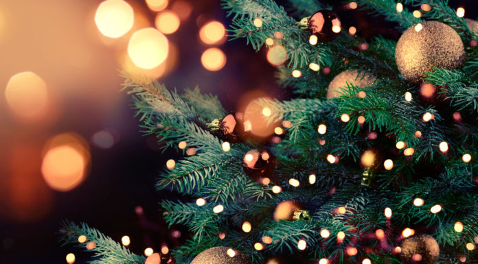 Ben Lomond’s Tree Lighting Party to spark holiday cheer