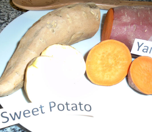 Plain Talk About Food | Feeding More Than Just Your Body