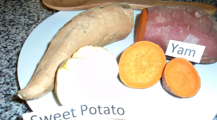 Plain Talk About Food | Feeding More Than Just Your Body