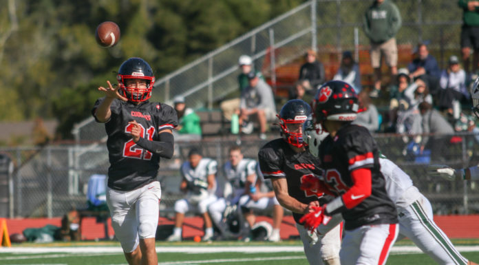 Cougars fall to Stevenson in battle for Santa Lucia Division title | Prep football