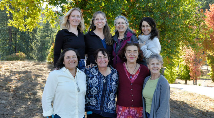 Strictly Business | The Diversity and Depth of Women’s Voices