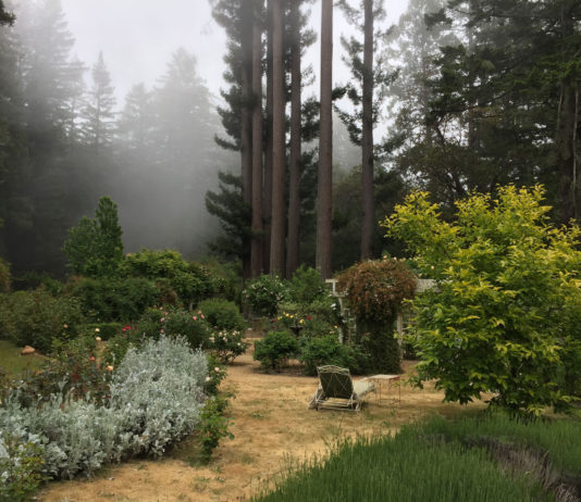 The Mountain Gardener | A Poem of Thanksgiving