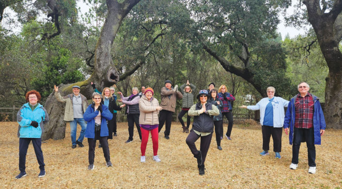 Strictly Business | Find Your Own Breath in Stillness