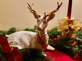 The Mountain Gardener | ’Twas the Night Before Christmas — A Poem for Gardeners