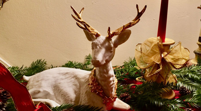 The Mountain Gardener | ’Twas the Night Before Christmas — A Poem for Gardeners