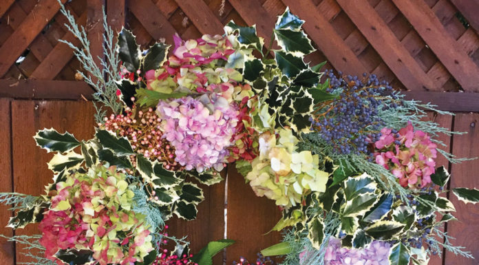 The Mountain Gardener | Holiday Wreaths Made Easy