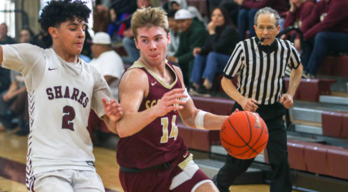 Falcons lean on each other during challenging season | Boys basketball
