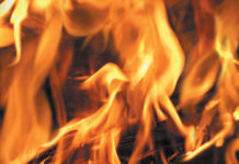 State Parks plans prescribed burns in Henry Cowell Redwoods sandhills Flames fire