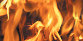 State Parks plans prescribed burns in Henry Cowell Redwoods sandhills Flames fire