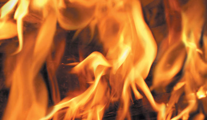 State Parks plans prescribed burns in Henry Cowell Redwoods sandhills Flames fire
