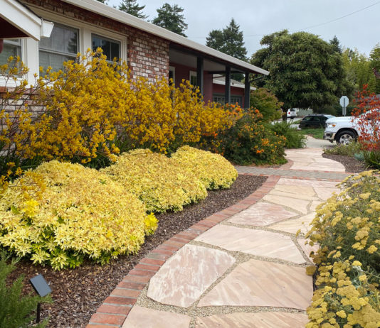 The Mountain Gardener | Landscape Design Tips for Your Garden