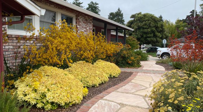 The Mountain Gardener | Landscape Design Tips for Your Garden